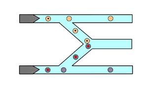 Emulsion Bead PCR - Sarah Kongpachith