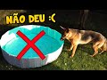 Comprei uma PISCINA ENORME pra SHIBA na AMAZON