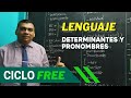 LENGUAJE - Determinantes y pronombres [Ciclo FREE] PARTE 1