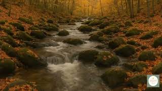 Rest In His Presence A November Of Peace And Praise