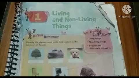 Dalauda Public School class 3rd science chapter 1st by Bindu Tiwari