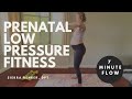 Safe Prenatal Exercise | Low Pressure Fitness Flow for Pregnancy Core & Pelvic Floor