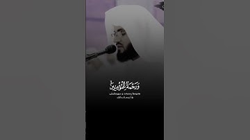 القارئ رعد محمد الكردي #قران_كريم #رعد_الكردي #quran #foryou