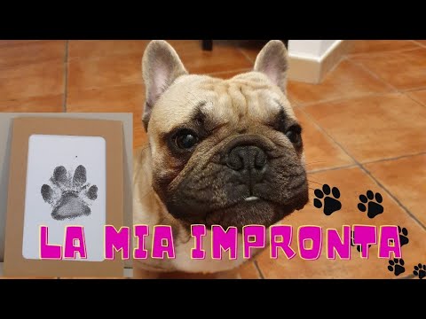 Come realizzare L&rsquo;IMPRONTA  DEL CANE