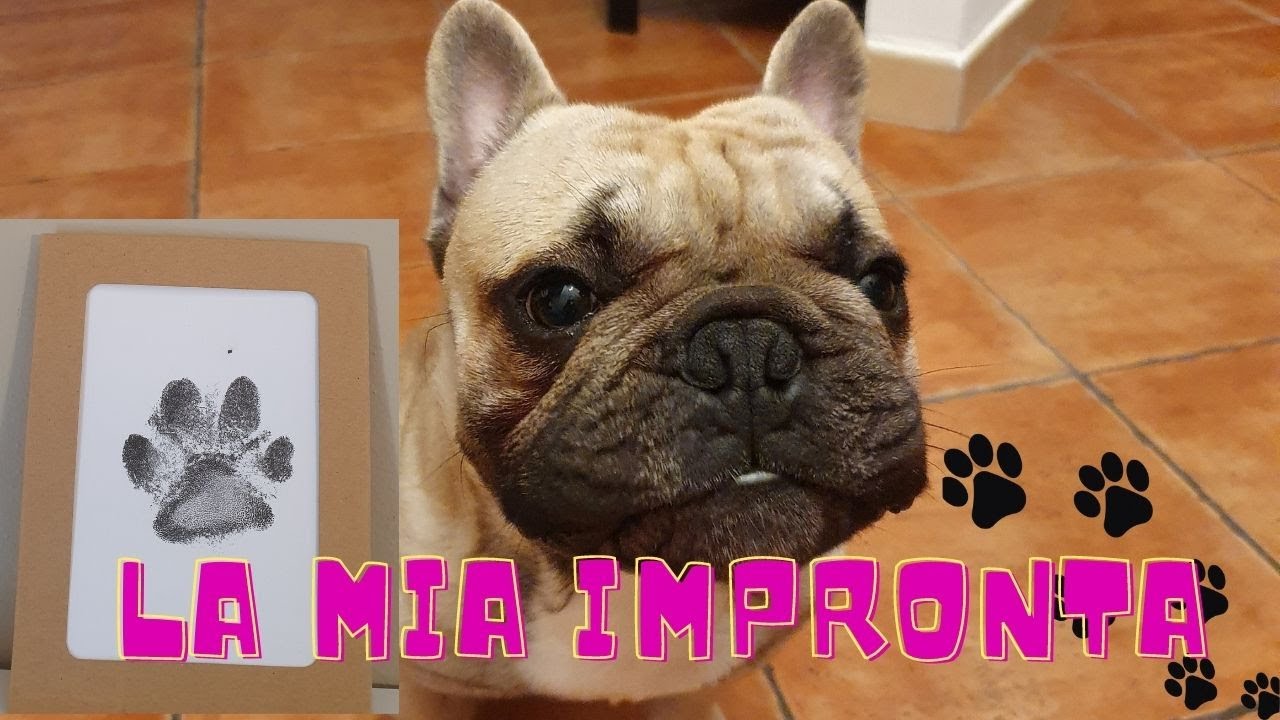 Come realizzare L'IMPRONTA DEL CANE 