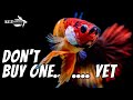 Dont buy a betta fish yet watch this first