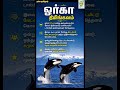 🌊பெருங்கடல்களை ஆளும் 7 திமிங்கலங்கள்! வியக்க வைக்கும் வாழ்வியல் ரகசியங்கள்🐳#whale #whales #lifestyle