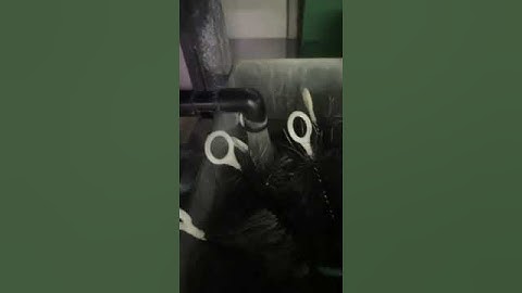 khách phản hồi về bộ overflow bộ lọc tràn dưới hồ cá - cảm ơn khách #hồcácảnh #cacanh #shorts