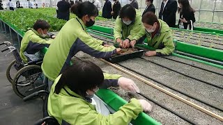 車椅子利用者も農作業ができる農業ハウスが完成　静岡・三島