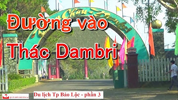 Đường vào thác Đambri | Du lịch Tp. Bảo Lộc - phần 3 | Khám phá Tp. Bảo Lộc | Quán Bốn Phương #46