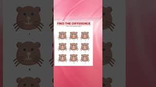 Find the difference #290 #spot #brain #challenge