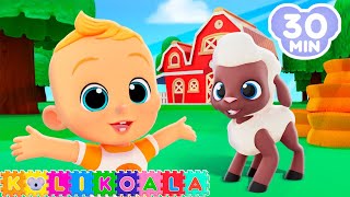 Baa Baa Black Sheep 🐑 and more Nursery Rhymes | KOLI KOALA | Kids Songs