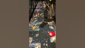#interactive #projection #3d#floor #photographer #immersive