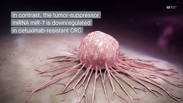 Complex roles of noncoding RNAs in colorectal cancer resistance to anti-EGFR therapy