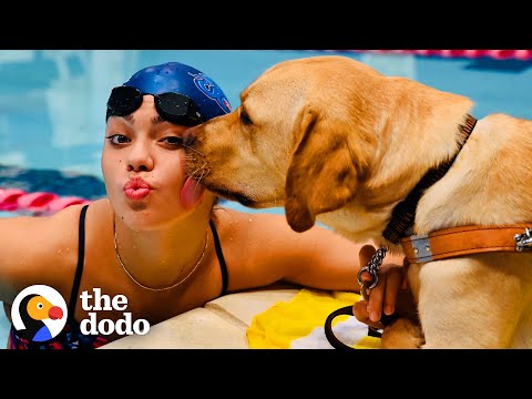 Video: Pet Scoop: Psi Andyja Murraya prikazuju njegove olimpijske medalje, laboratorij pliva s dupinima