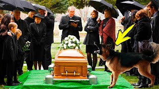 A dog interrupts a funeral and the priest is nervous to see it barking at the Coffin...