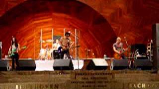 Watch Dave Navarro Everything video