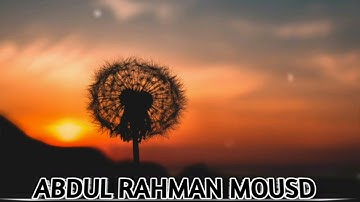 ما تيسر من سورة النحل||الشيخ القاري عبدالرحمن مسعد ||