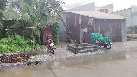 Ace Đức Phát Trà quýt ngập trong biển nước.mong chính quyền xem xét và giúp đỡ 