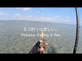 [沖縄タコ釣り]エギで簡単に釣れるシガヤータコ。Octopus that can be easily caught with egi.