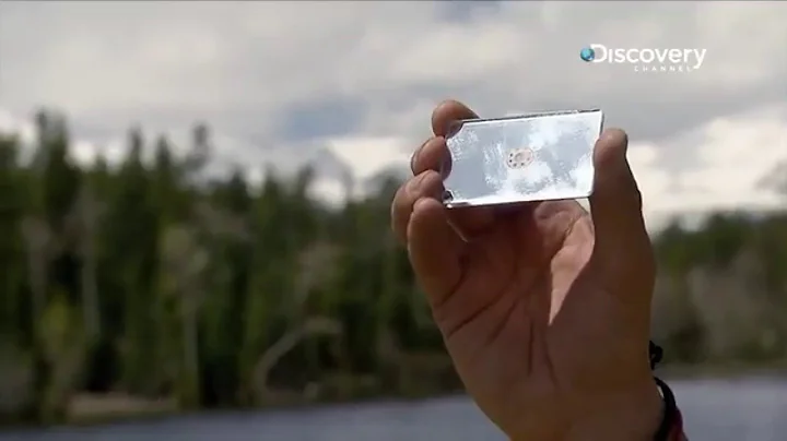 S.O.S. SIGNAL | Bear's survival tips