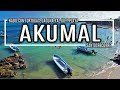 🔵AKUMAL Y YAL-KÚ - NADO con TORTUGAS 🐢CENOTE Y PLAYA. Qué hacer en 1 día en la RIVIERA MAYA 2021😎