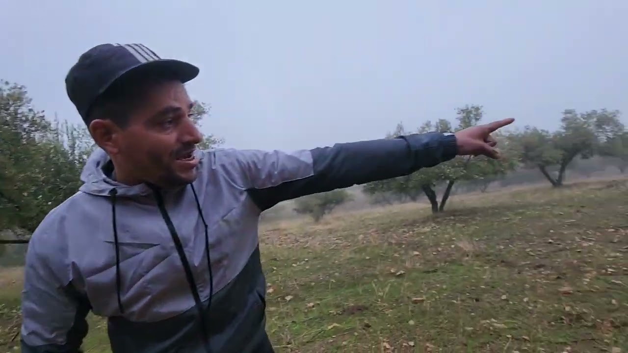 2026/01/16 :أرض مساحتها 4000متر بها 40زيتونة ملكية بثمن 9المليون طريق الرئيسية 📞0666061770