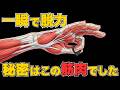 【閲覧注意】手首を振ろうとするから弾けない。解剖学が教える右手『脱力』の正体