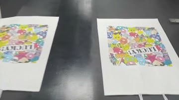 singlepass printer , paper bag color printing Robotjet printers