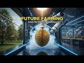 Mass Production marvels: Harvesting and Freezing the King of Fruits