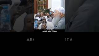 Какие волосы можно удалить а каких нельзя. Польное видео в телеге. #ислам #иман #напоминание #quran