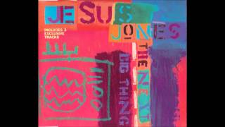 Watch Jesus Jones Together video