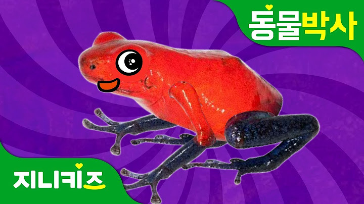 독화살 개구리 | 예쁘지만 독을 품은 개구리 | 동물박사★지니키즈