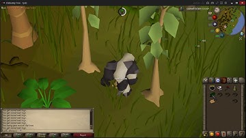 3 TICK WOODCUTTING QUICK GUIDE [OSRS]
