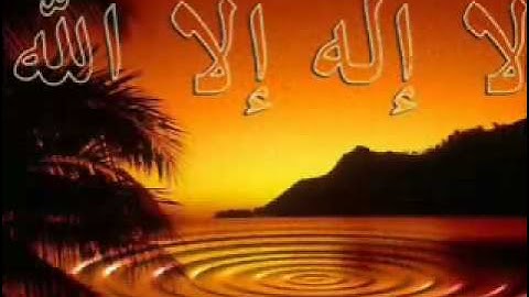 تلاوة  من سورة الأنبياء للقارئ/ ماجد العقل