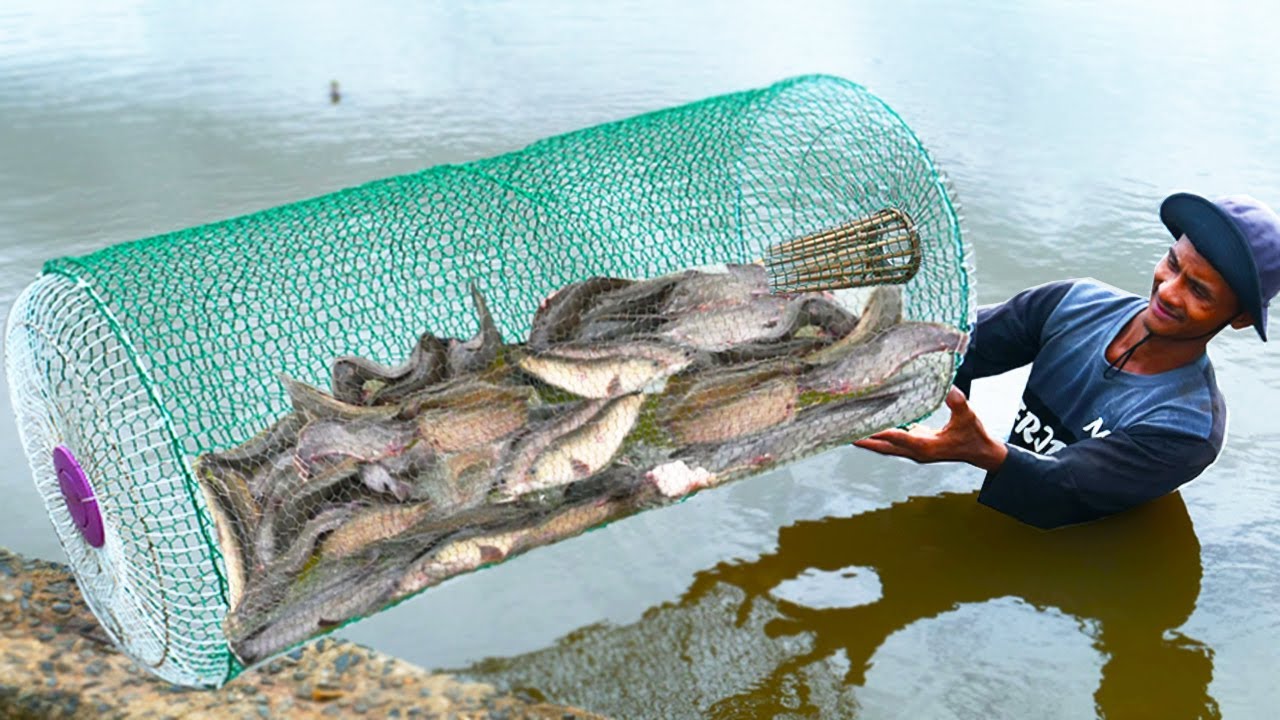 Primitive technology - Making Trap To Catch Catfish using Wire