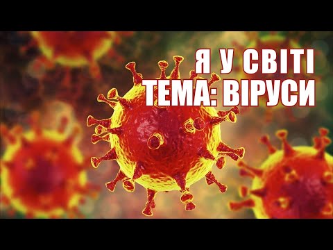Віруси Я у світі початкова школа Бактерії корисні та шкідливі