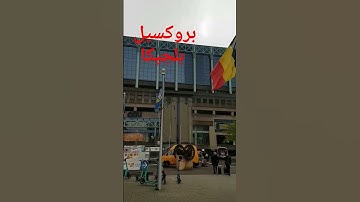 سورة الممتحنة المقريء بلال دربالي برواية ورش عن نافع