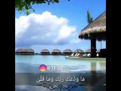 يقول الباري عز وجل