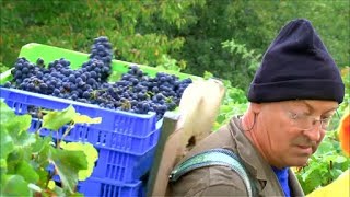 Les Grands Vins Français | Bourgogne : Côte de Beaune by Food Story 3,407 views 4 weeks ago 52 minutes