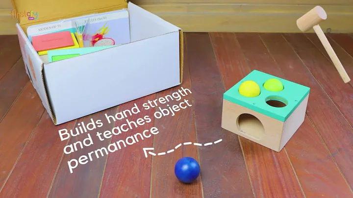 Curious Cub Montessori Learning Wooden Toys Box of 8