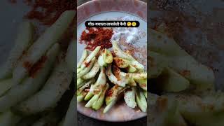 #kairi #mango #shortvideo #shorts #ytshorts #shortfeed #shortvideo #short #kokan #kokandiaries
