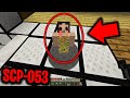 This SCP makes you go CRAZY in Minecraft.... (SCP-053 in Minecraft)