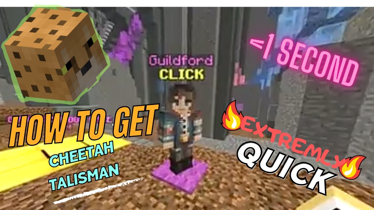 How to get the Cheetah Talisman quickly! (FINISH RACES IN LESS THAN A