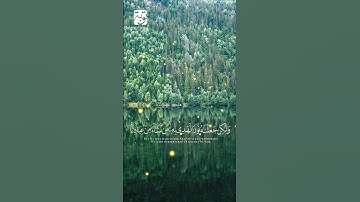 #وديع_اليمني #سورة_الشورى الآية 52