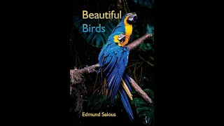 Beautiful Birds by Edmund Selous - Audiobook
