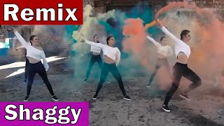 Shaggy - Hey Sexy Lady (Remix Dj Engin Dee) (DANCE VIDEO)