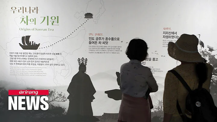 2023 World Tea Expo Hadong: Healing road showing 1,200 years of Korean tea culture - DayDayNews