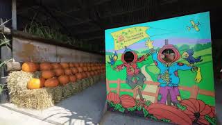 The Pumpkin Patch Produce Fly Through