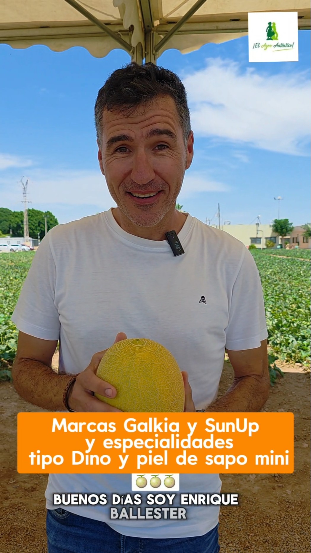 🍈Marcas Galkia y SunUp y especialidades tipo Dino y piel de sapo mini🍈